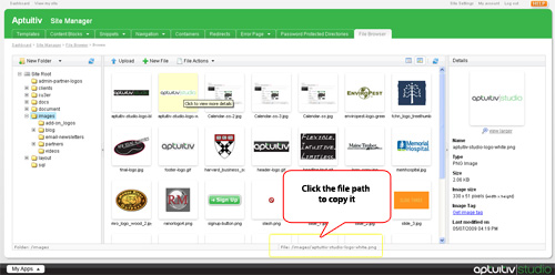 Copy the file path