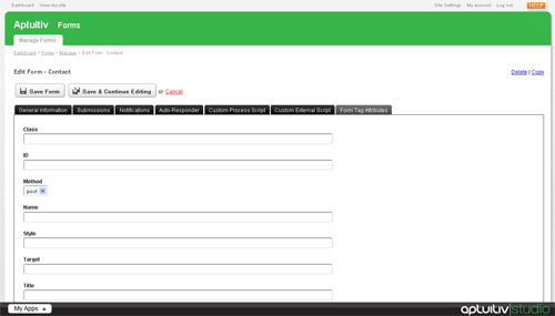 Form tag attributes