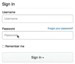Show password when logging in
