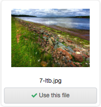 Adding / Editing Videos | Branch CMS Documentation